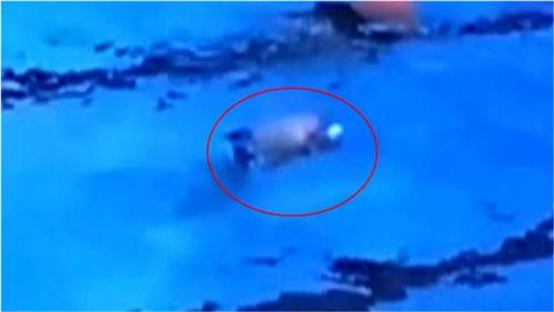 广州刘先生最新爆料,揭秘某事件背后惊人真相